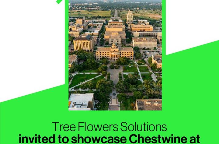 Tree Flowers Solutions - Soluções Naturais