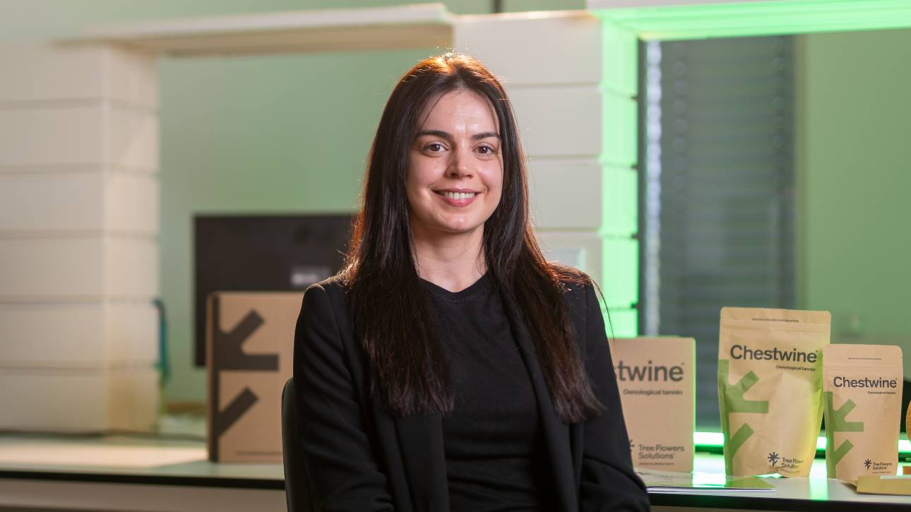 Tree Flowers Solutions - Soluções Naturais